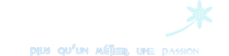 Logo fleuriste Chinon Chlorophylle