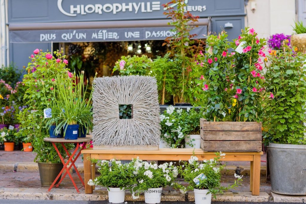 Chlorophylle, artisan fleuriste à Chinon